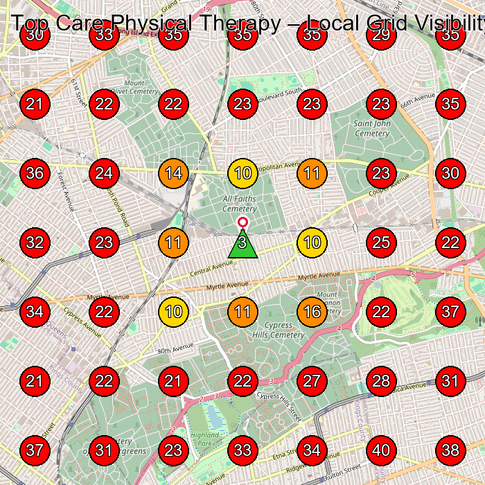Top Care Physical Therapy GeoGrid visibility map for Pain Management Physician in Brooklyn